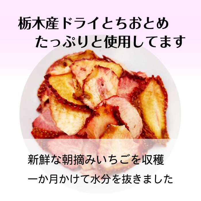 【ふるさと納税】 【ふるさと納税】 とちおとめ 生チョコレート（16粒入り） 栃木 とちぎ産 いちご イチゴ 苺 スイーツ 通販 お取り寄せ | 栃木 とちぎ産 いちご イチゴ 苺 スイーツ 通販 お取り寄せ 菓子 おかし 食品 人気 おすすめ 送料無料