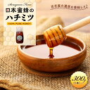 【ふるさと納税】日本蜜蜂のハチミツ100%!はちみつ(逆さ容器300g1本) 高級 自然食品 無添加 ニホンミツバチ | ハニー 蜂蜜 食品 人気 おすすめ 送...