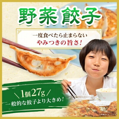 【ふるさと納税】【佐野餃子(中)野菜餃子(1個27g)24個4人前】×2袋～5袋【配送不可地域：離島・沖縄県】【G1104104】