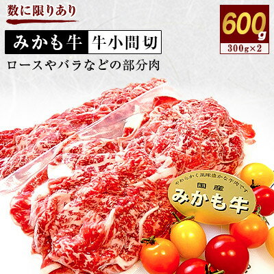 「みかも牛」牛小間切600g(300g×2)【配送不可地域：離島】【1257310】