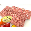 「みかも牛」焼肉用600g(300gx2)