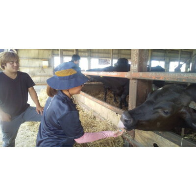 栃木県佐野市の画像3