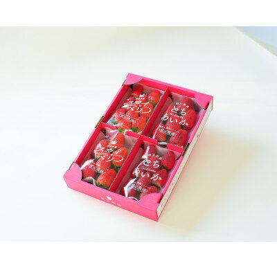 【ふるさと納税】豪華!栃木イチゴ2種(スカイベリー・とちあいか)大粒 食べ比べセット(300g×4パック)【1283775】のサムネイル