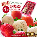 【ふるさと納税】【春いちご】栃木のいちご4種詰め合わせセット!(300g×4パック)_ いちご イチゴ 苺 フルーツ 果物 栃木県 詰め合わせ セット 甘い 美味しい 人気 ギフト 贈答 送料無料 【1290961】