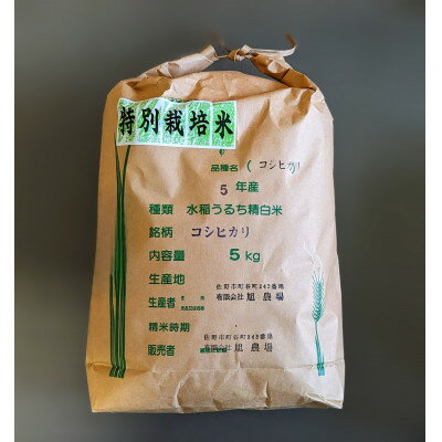 令和4年収穫 栃木県佐野市産コシヒカリ 5kg