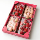 【ふるさと納税】紅白イチゴ(とちあいか、ミルキーベリー)大粒 詰め合わせ(300g×4パック)_ いちご イチゴ 苺 フルーツ 果物 とちあいか ミルキーベリー 栃木県 甘い 美味しい 人気 ギフト 贈答 送料無料 【1383420】