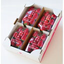 【ふるさと納税】香りと酸味が魅力!!日本の定番『とちおとめ』 (260g×4パック)【配送不可地域:離島】【1386436】