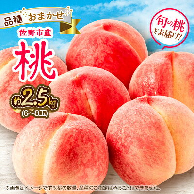 【旬の桃】栃木県佐野市の人気の観光農園で収穫された新鮮な桃およそ2.5kg(6～8玉)品種おまかせ【配送不可地域：離島・沖縄県】【1416806】