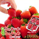 【ふるさと納税】いちご生産量日本一栃木産 春イチゴ『とちおとめ』『とちあいか』 (260g×4パック)食べ比べセット_ いちご 苺 とちおとめ とちあいか セット 食べ比べ 人気 おすすめ 送料無料 贈答 ギフト 栃木 佐野 冷蔵 春いちご 【配送不可地域:離島】【1489767】