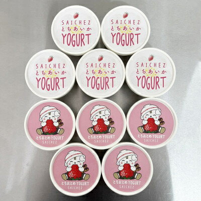 【ふるさと納税】いちご50%使用!栃木県産いちごヨーグルトアイス〈とちおとめ・とちあいか〉 10個セット【配送不可地域：離島】【1515414】のサムネイル