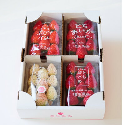 [春イチゴ]栃木いちご4種詰め合わせセット(260g×4パック)[配送不可地域:離島]