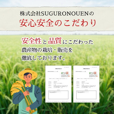 【ふるさと納税】令和7年産　特別栽培米コシヒカリ　10kg(5kg×2袋)【1695258】