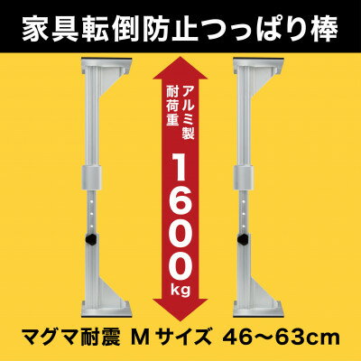 �ڤդ뤵��Ǽ�ǡ��ѿ��ͤ�ĥ���� �ޥ����ѿ� M��������2�����ꡡ1���åȡ�1706640��