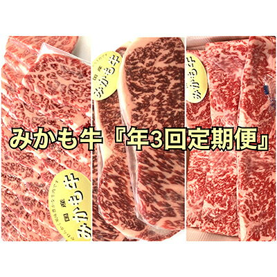 【発送月固定定期便】【2024年2月発送開始】みかも牛「定期便 4ヶ月ごと3回コース」全3回【配送不可地域：離島】【4003497】