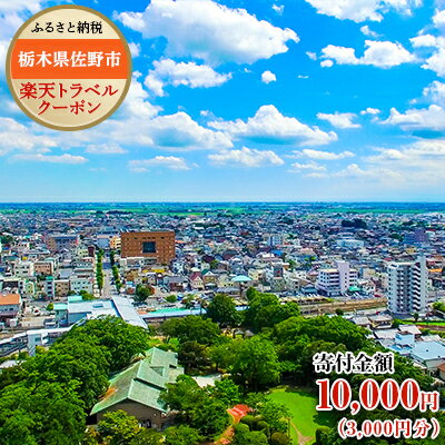 【ふるさと納税】栃木県佐野市の対象施設で使える楽天トラベルクーポン寄付額10,000円