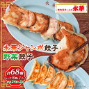 【ふるさと納税】佐野餃子(大)10個2人前×2パックと佐野餃子(中)24個4人前×2袋_ 餃子 ぎょうざ 佐野餃子 野菜餃子 栃木県 佐野 おつまみ おかず 人...