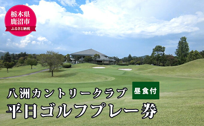 【ふるさと納税】八洲カントリークラブ 平日ゴルフプレー (昼食付き) 1名様分 【ゴルフ場利用権】　お届け：入金確認後 14日～1ヶ月