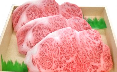 サンプル画像2
