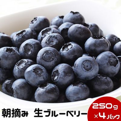 【ふるさと納税】数量限定 50セット 鹿沼 朝摘み 生ブルーベリー 250g × 4パック 1kg　【果物・詰合せ・セット・フルーツ】　お届け：2024年6月15日～2024年7月18日