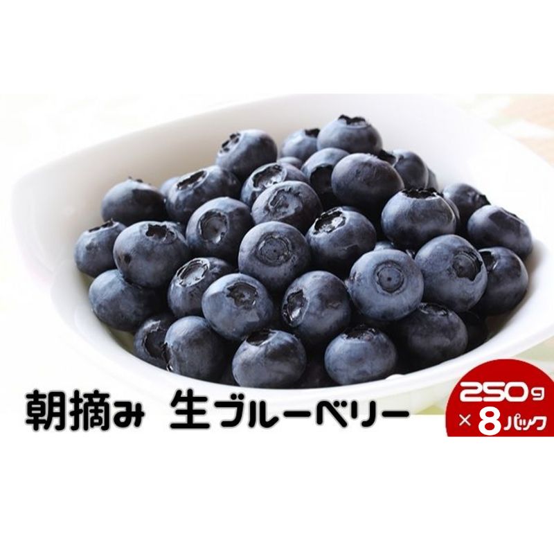 【ふるさと納税】数量限定 50セット 鹿沼 朝摘み 生ブルーベリー 250g 8パック 2kg 【果物・詰合せ・セット・フルーツ】 お届け：2024年6月15日～2024年7月18日