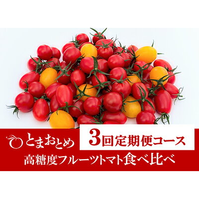 【ふるさと納税】【 定期便 3回 】 栃木県 鹿沼産 高糖度 フルーツトマト ”とまおとめ” 食べ比べ 1kg×3回 | トマト カキヌマファーム アイコ フル...