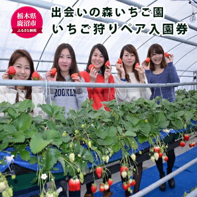 出会いの森 いちご園 いちご狩り ペア入園券 チケット 入場券 優待券　【チケット・入場券・優待券】