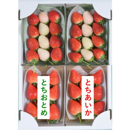 【ふるさと納税】味くらべ紅白いちご（2023年3月上旬〜5月中旬発送）　【 新品種 果物類 特別 朝どり 直送 甘み 酸味 バランスリッツカールトン お祝い大粒 化粧箱 高級感 ハート 白い希少 】　お届け：2023年3月上旬〜5月中旬のサムネイル