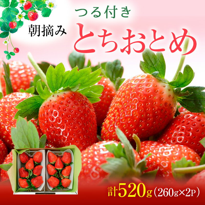 【ふるさと納税】つる付き とちおとめ 2パック箱（2月上旬～中旬） いちご 果物 フルーツ 苺 イチゴ くだもの 朝取り 新鮮 美味しい 甘い 　お届け：2025年2月1日～2月20日までのサムネイル