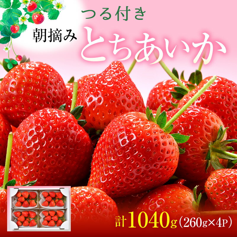 【ふるさと納税】つる付き とちあいか 4パック（1月中旬～1月下旬発送） いちご 果物 フルーツ 苺 イチゴ くだもの 朝取り 新鮮 美味しい 甘い　お届け：2025年1月15日～1月31日までのサムネイル