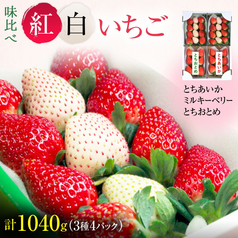 【ふるさと納税】味くらべ紅白いちご 3種 4パック （12月下旬～1月上旬発送） いちご 果物 フルーツ 苺 イチゴ くだもの とちあいか ミルキーベリー とちおとめ 朝取り 新鮮 美味しい 甘い　お届け：2024年12月20日～2025年1月15日までのサムネイル
