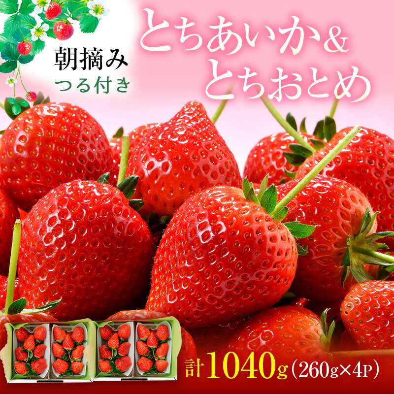 【ふるさと納税】あいか×おとめハーフ＆ハーフ（1月中旬〜1月下旬発送）　【 果物類 いちご フルーツ 新品種 朝取り まろやか こだわり 安心 安全 新鮮 美味しい ハート 甘い リッツカールトン セット 】　お届け：2024年1月15日〜1月31日までのサムネイル