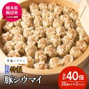 【ふるさと納税】冷凍 特製豚シウマイ20個入り×2パック 焼売 加工品 惣菜 シュウマイ 国産豚 赤身肉 笑福シウマイ 低脂質 笑顔 縁起の良い ジューシー さっぱり ヘルシー 美味しい ※沖縄・離島への配送不可