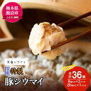 5位! 口コミ数「0件」評価「0」冷凍　特製豚シウマイ8個入り×2パック＋20個入り×1パック 計3パック 焼売 加工品 惣菜 シュウマイ 国産豚 赤身肉 笑福シウマイ 低脂･･･ 