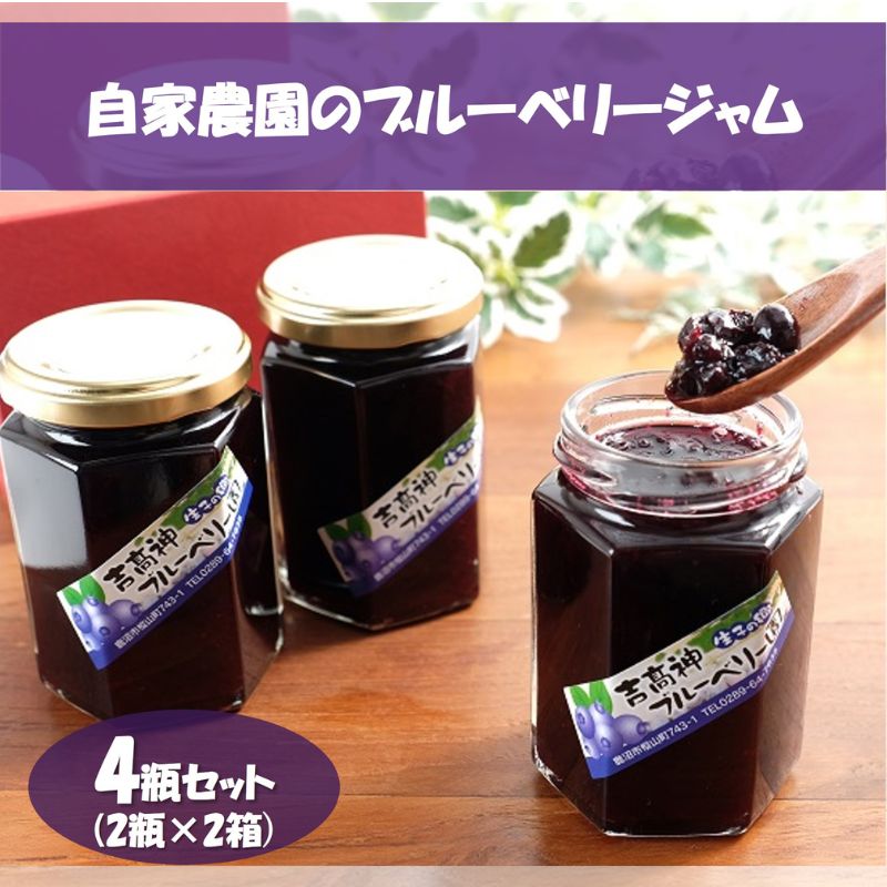 【ふるさと納税】自家農園のブルーベリージャム4瓶セット(2瓶×2箱)加工品 フルーツジャム 太陽 めぐみ 風味 香り 摘み取り グラニュー糖 レモン汁 自然 果実 美味しい
