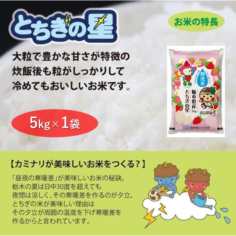 栃木県鹿沼市産 とちぎの星 無洗米 5kg 令和5年産 水稲うるち精米 単一原料米 お米 特A 大粒 [ 米 お米 大粒 甘さ ] お届け:2023年12月1日〜2024年7月30日