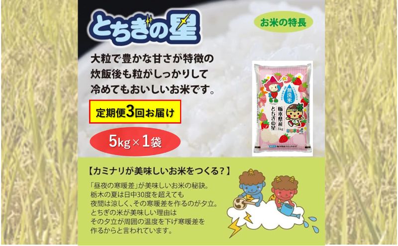 【ふるさと納税】【定期便 3ヶ月】栃木県鹿沼市産 とちぎの星 無洗米 5kg 3回お届け 令和5年産 水稲うるち精米 単一原料米 お米 特A 大粒　【定期便・ 米 お米 大粒 甘さ 】　お届け：2023年12月1日～2024年7月30日