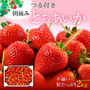 【ふるさと納税】とちあいか不揃い粒たっぷり2kg（家庭用、ジャム・冷凍など加工用にもおすすめ）【発送期日】2024年5月中旬～5月下旬頃 果物 いちご 朝取り 新鮮 美味しい ハート 甘い　【 フルーツ デザート ストロベリー 】　お届け：2024年5月15日～5月31日