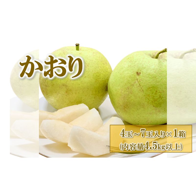 【ふるさと納税】2024年 梨(かおり) 4玉～7玉入り×1箱 (内容量4.5kg以上)【発送期日】2024年9月上旬～順次発送予定　【鹿沼市 】　お届け：2024年9月上旬～2024年9月下旬のサムネイル
