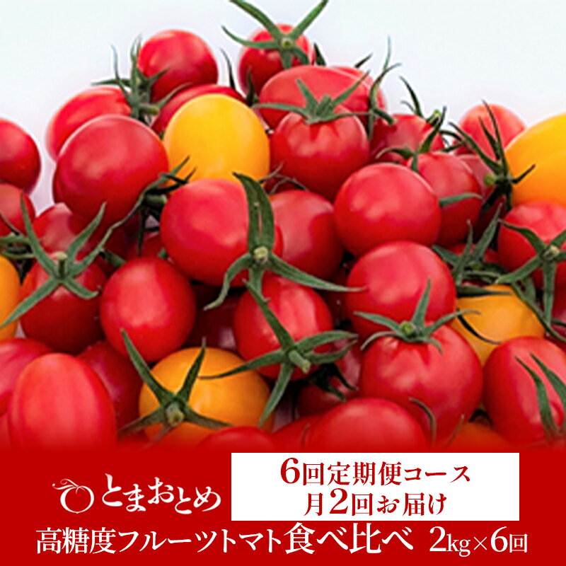 【ふるさと納税】【 定期便 月2回 計6回 】 栃木県 鹿沼産 高糖度 フルーツトマト ”とまおとめ” 食べ比べ 2kg×6回 | 野菜 トマト カキヌマファー...