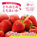 【ふるさと納税】【先行予約】【選べる品種・内容量・発送時期】とちあいか とちおとめ | いちご 果物 フルーツ 苺 イチゴ くだもの 朝取り 新鮮 美味しい 甘い 先行受付