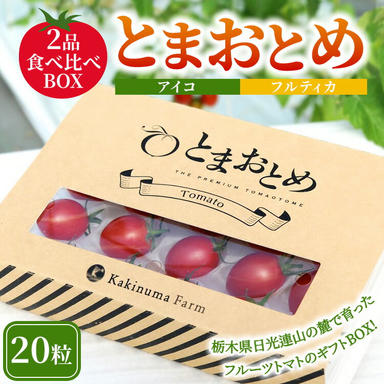 栃木県 鹿沼産 高糖度フルーツトマト "とまおとめ" 2品種食べ比べBOX(アイコ・フルティカ) | 野菜 ミニトマト カキヌマファーム 濃厚 贈り物 新鮮 高糖度 リコピン ビタミン ダイエット 美容 健康 ※2025年12月下旬〜2026年6月上旬頃に順次発送予定