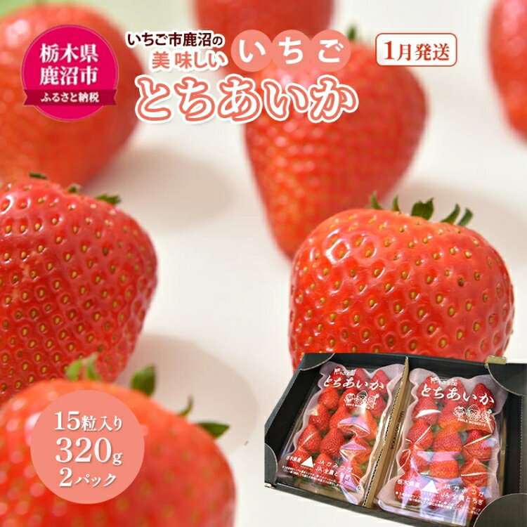 [先行予約]いちご市 鹿沼の美味しい「い」「ち」「ご」とちあいか 15粒入り320g 2パック(1月発送) | イチゴ 苺 フルーツ 果物 甘い うまい 日本一 品質 ビタミンC 果実 かぬま ※沖縄・離島への配送不可 ※2026年1月上旬〜1月下旬頃に順次発送予定