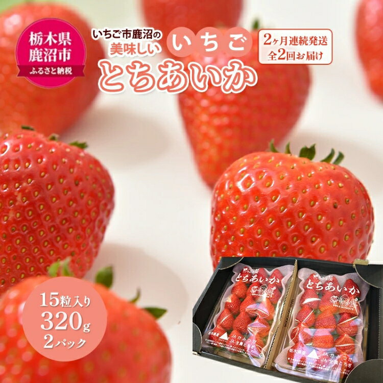 【ふるさと納税】【先行予約】【定期便】いちご市 鹿沼の美味しい「い」「ち」「ご」 とちあいか 15粒入り320g 2パック 2ヶ月連続発送 全2回 お届け ｜ イチゴ 苺 フルーツ 果物 甘い 贈答用 かぬま ※沖縄・離島への配送不可 ※2026年1月上旬～2月下旬頃に順次発送予定