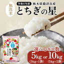 【ふるさと納税】【数量限定】【選べる容量】栃木県鹿沼市産 とちぎの星 無洗米 5kg または 10kg 令和6年産 水稲うるち精米 単一原料米 お米 特A 大粒...