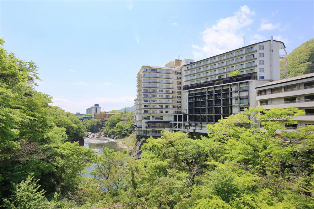 【ふるさと納税】[鬼怒川プラザホテル] 1泊2食 2名様 宿泊招待券 (露天風呂付客室) 夕食 部屋食 朝食 バイキング｜日光市 ホテル 観光 旅行 旅行券 宿泊 宿泊券 チケット 夏休み 紅葉 [0044]