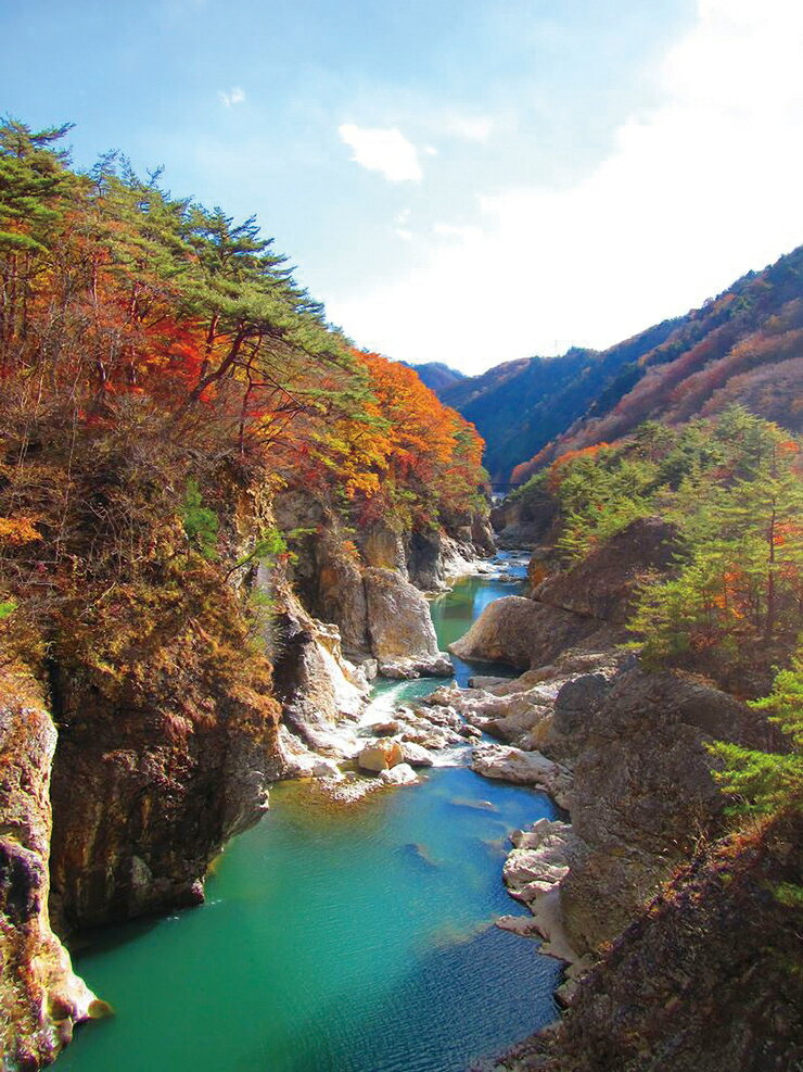 【ふるさと納税】【楽天トラベル地域創生賞2023シルバー受賞】栃木県日光市の対象施設で使える楽天トラベルクーポン 寄付額50,000円｜日光市 ホテル 観光 旅行 旅行券 宿泊 宿泊券 チケット 夏休み 紅葉 [0094]その2