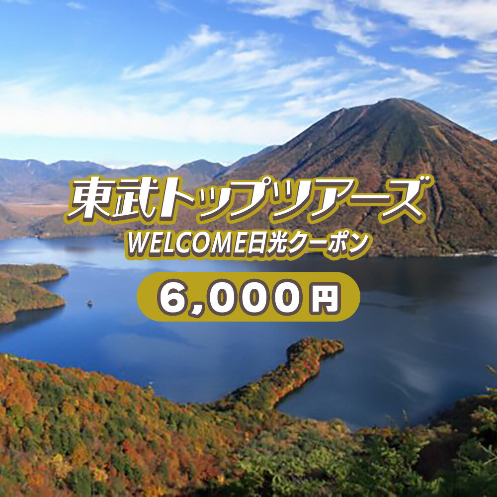 【ふるさと納税】WELCOME日光クーポン 6000円分 ｜東武トップツアーズ 日光市 ホテル 観光 旅行 旅行券 宿泊 宿泊券 チケット [0100]