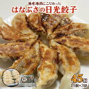 【ふるさと納税】はなぶさの日光餃子｜おかず 惣菜 国産 ぎょうざ 日光市産 [0284]