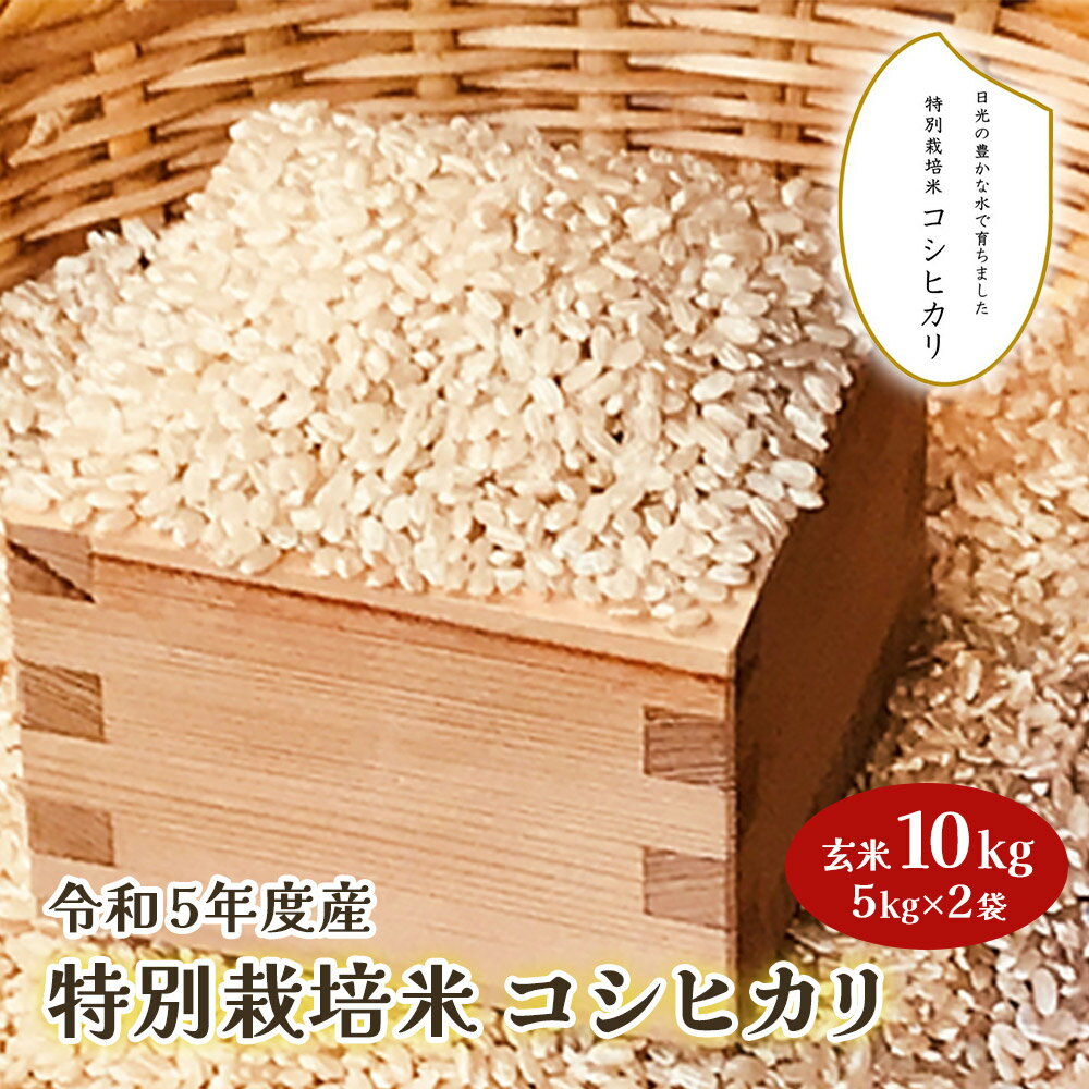 【ふるさと納税】令和5年度産 特別栽培米 コシヒカリ 玄米10kg(5kg×2袋)｜数量限定 お米 こしひかり 国産 日光産 産地直送 [0312]