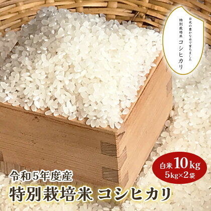 令和5年度産 特別栽培米 コシヒカリ 白米10kg(5kg×2袋)｜数量限定 お米 こしひかり 国産 日光産 産地直送 [0313]